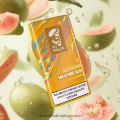 Alibarbar τσίχλα νικοτίνης γκουάβα 428H682 - Ηλεκτρονικο Τσιγαρο Μιασ Χρησησ Περιπτερα