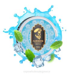 ηλεκτρονικο τσιγαρο στυλο | J06463 μινθόλη ALIBARBAR θήκη νικοτίνης