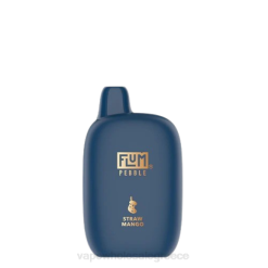 FLUM PEBBLES 6000 ρουφηξιές (χριστουγεννιάτικη έκδοση) άχυρο μάνγκο 8H6H11 - Ηλεκτρονικο Τσιγαρο Χωρισ Πισσα Και Νικοτινη