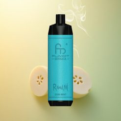 RandM Fumot Shisha 10000 Puffs Μέντιο LED Μίτοχος Τύπος-C