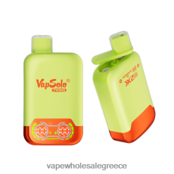 Vapsolo TWINS ατμός μιας χρήσης πάγος καρπούζι & ανάμεικτο μούρο 428H6128 - Ηλεκτρονικό Τσιγάρο Σκρουτζ